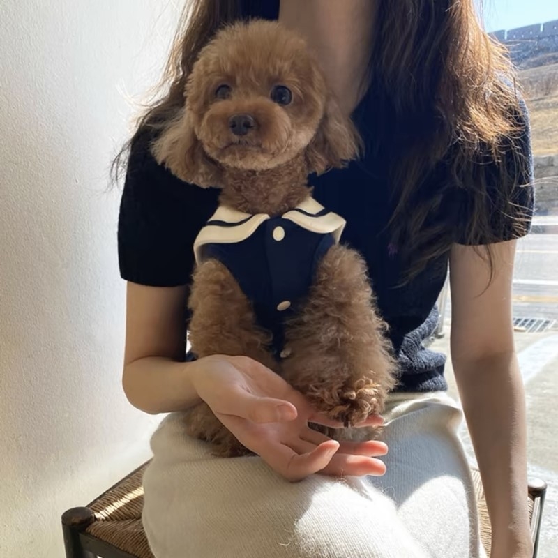 Lemmikloomariided Teddy Bears Väike koer Õunakass Puudel Schnery Yorkshire`i koera kostüüm Sügis