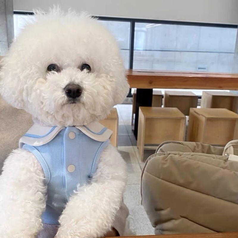 Lemmikloomariided Teddy Bears Väike koer Õunakass Puudel Schnery Yorkshire`i koera kostüüm Sügis