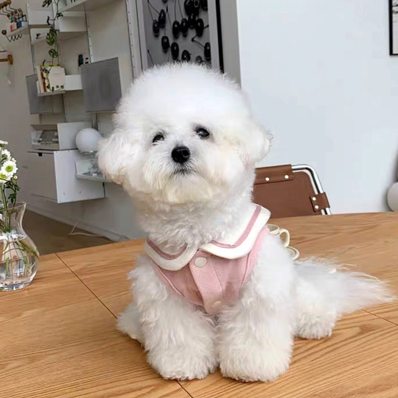 Lemmikloomariided Teddy Bears Väike koer Õunakass Puudel Schnery Yorkshire`i koera kostüüm Sügis