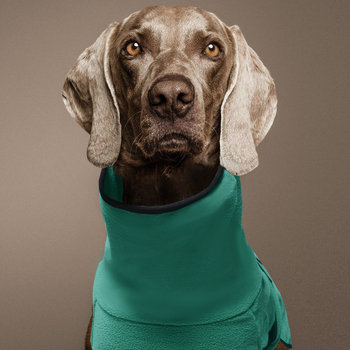 Piiriülesed Amazoni uued lemmikloomariided Polar fliisist paksendatud soojad koerariided kapuutsiga ühevärviline lemmikloomade dressipluus