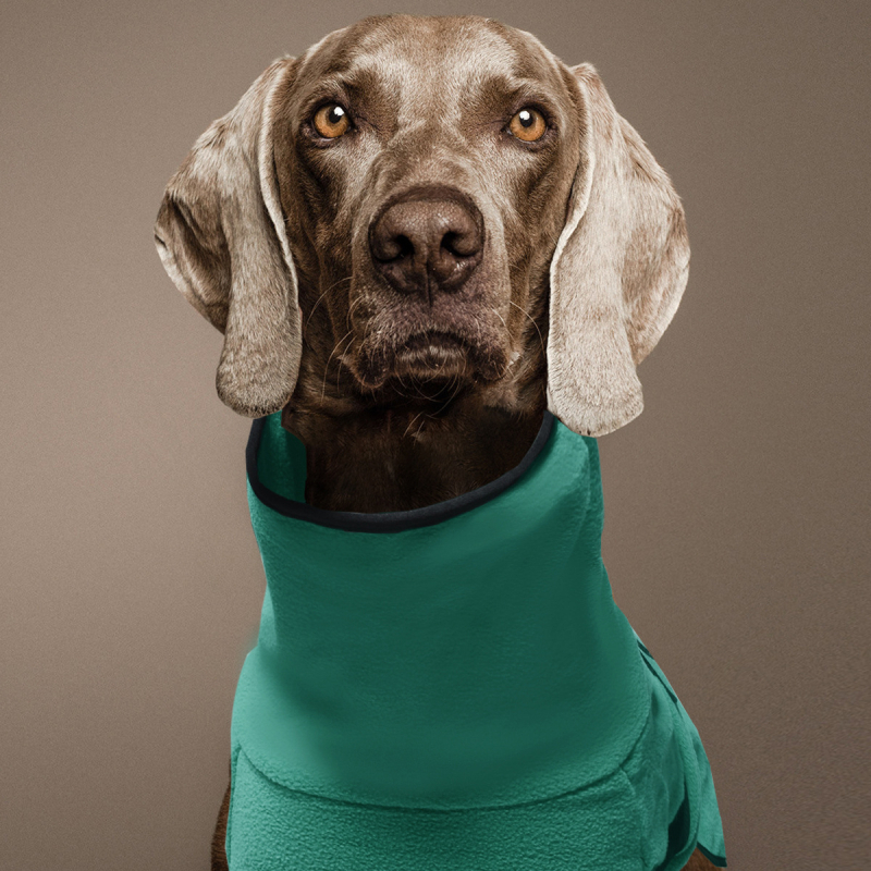 Piiriülesed Amazoni uued lemmikloomariided Polar fliisist paksendatud soojad koerariided kapuutsiga ühevärviline lemmikloomade dressipluus