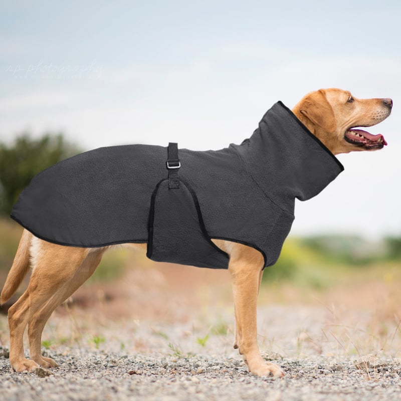 Piiriülesed Amazoni uued lemmikloomariided Polar fliisist paksendatud soojad koerariided kapuutsiga ühevärviline lemmikloomade dressipluus