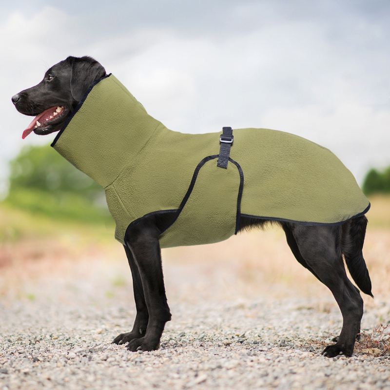 Piiriülesed Amazoni uued lemmikloomariided Polar fliisist paksendatud soojad koerariided kapuutsiga ühevärviline lemmikloomade dressipluus