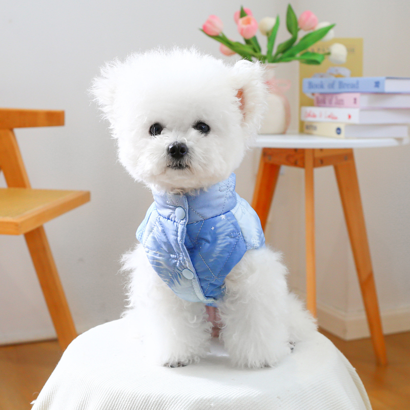 laos piiriülesed plahvatused lemmiklooma kutsika kassi riided otse tehasest sügis ja talvine paks soe rombikujuline puuvillane vooderdisega riided