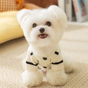 Lihtne triibuline kardigan-kampsun, mustvalge triibuga, väikese koera sügis- ja talveriided, paksud kahejalgsed lemmikloomariided, hulgimüük