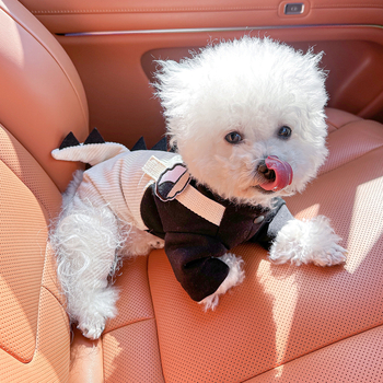 Sandėlyje tarpvalstybinis populiarus naminių gyvūnėlių šuniukų drabužių tiekėjas gamykloje pavasariui ir vasarai nauji dinozaurų keturkojų drabužių vienetinis pristatymas