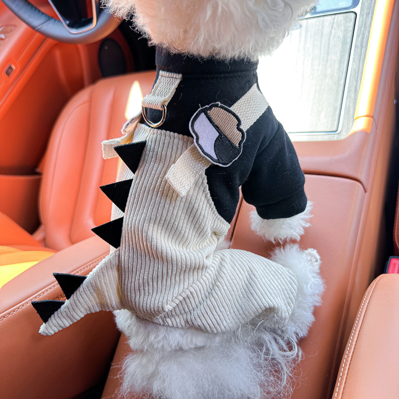 Sandėlyje tarpvalstybinis populiarus naminių gyvūnėlių šuniukų drabužių tiekėjas gamykloje pavasariui ir vasarai nauji dinozaurų keturkojų drabužių vienetinis pristatymas