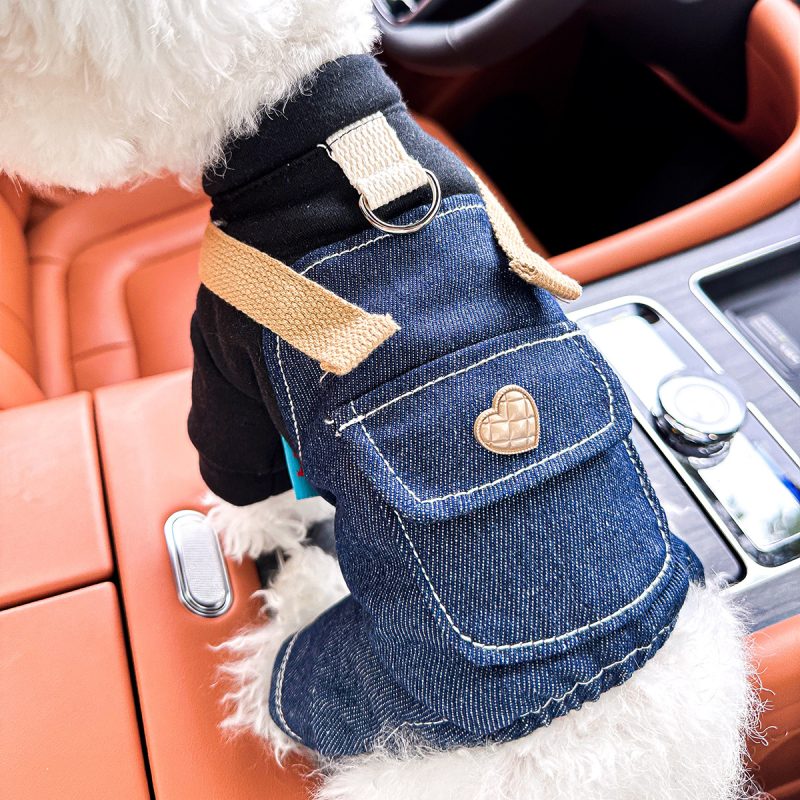 Sandėlyje tarpvalstybinis populiarus naminių gyvūnėlių šuniukų drabužių tiekėjas gamykloje pavasariui ir vasarai nauji dinozaurų keturkojų drabužių vienetinis pristatymas