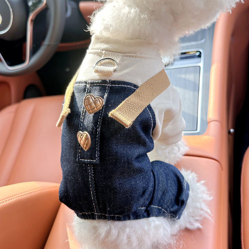 Sandėlyje tarpvalstybinis populiarus naminių gyvūnėlių šuniukų drabužių tiekėjas gamykloje pavasariui ir vasarai nauji dinozaurų keturkojų drabužių vienetinis pristatymas