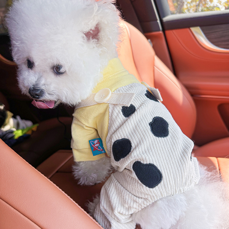 Sandėlyje tarpvalstybinis populiarus naminių gyvūnėlių šuniukų drabužių tiekėjas gamykloje pavasariui ir vasarai nauji dinozaurų keturkojų drabužių vienetinis pristatymas