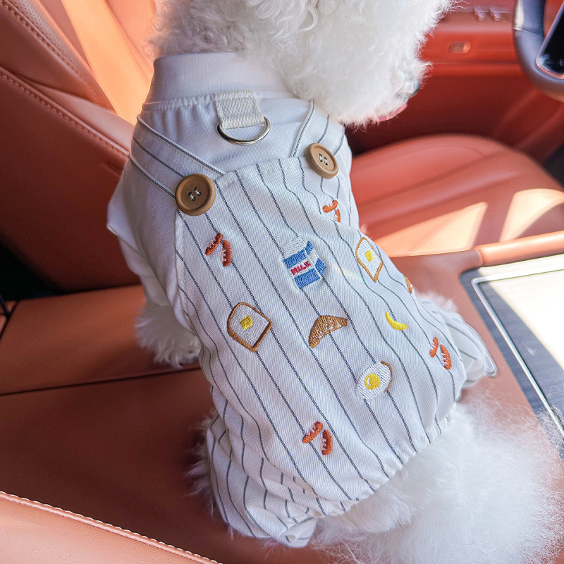 Sandėlyje tarpvalstybinis populiarus naminių gyvūnėlių šuniukų drabužių tiekėjas gamykloje pavasariui ir vasarai nauji dinozaurų keturkojų drabužių vienetinis pristatymas