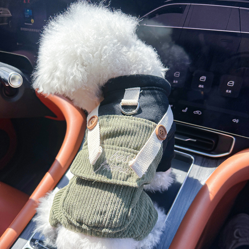 Sandėlyje tarpvalstybinis populiarus naminių gyvūnėlių šuniukų drabužių tiekėjas gamykloje pavasariui ir vasarai nauji dinozaurų keturkojų drabužių vienetinis pristatymas