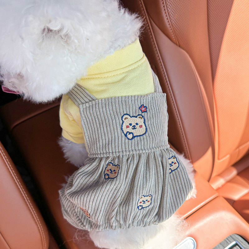 Sandėlyje tarpvalstybinis populiarus naminių gyvūnėlių šuniukų drabužių tiekėjas gamykloje pavasariui ir vasarai nauji dinozaurų keturkojų drabužių vienetinis pristatymas