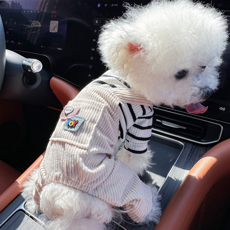 Sandėlyje tarpvalstybinis populiarus naminių gyvūnėlių šuniukų drabužių tiekėjas gamykloje pavasariui ir vasarai nauji dinozaurų keturkojų drabužių vienetinis pristatymas