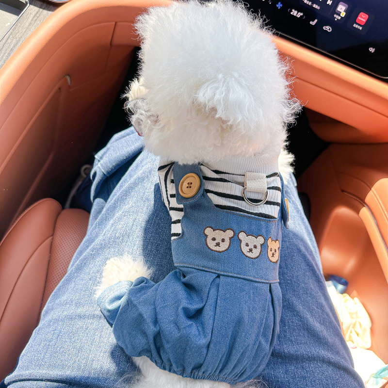 Sandėlyje tarpvalstybinis populiarus naminių gyvūnėlių šuniukų drabužių tiekėjas gamykloje pavasariui ir vasarai nauji dinozaurų keturkojų drabužių vienetinis pristatymas