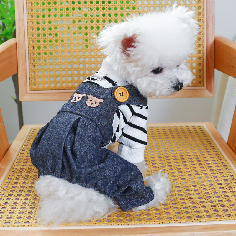 Sandėlyje tarpvalstybinis populiarus naminių gyvūnėlių šuniukų drabužių tiekėjas gamykloje pavasariui ir vasarai nauji dinozaurų keturkojų drabužių vienetinis pristatymas