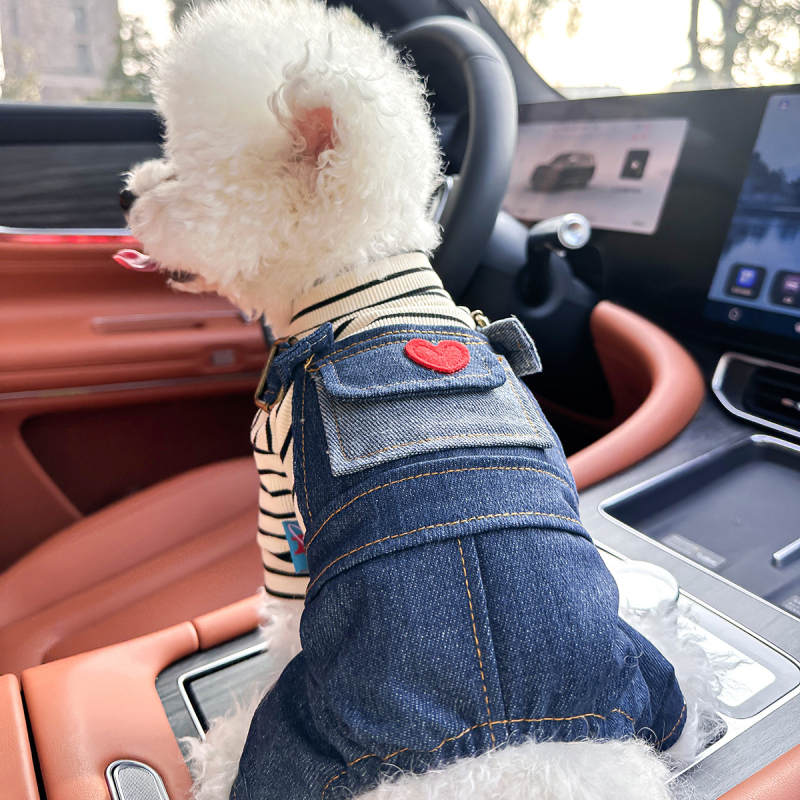 Sandėlyje tarpvalstybinis populiarus naminių gyvūnėlių šuniukų drabužių tiekėjas gamykloje pavasariui ir vasarai nauji dinozaurų keturkojų drabužių vienetinis pristatymas