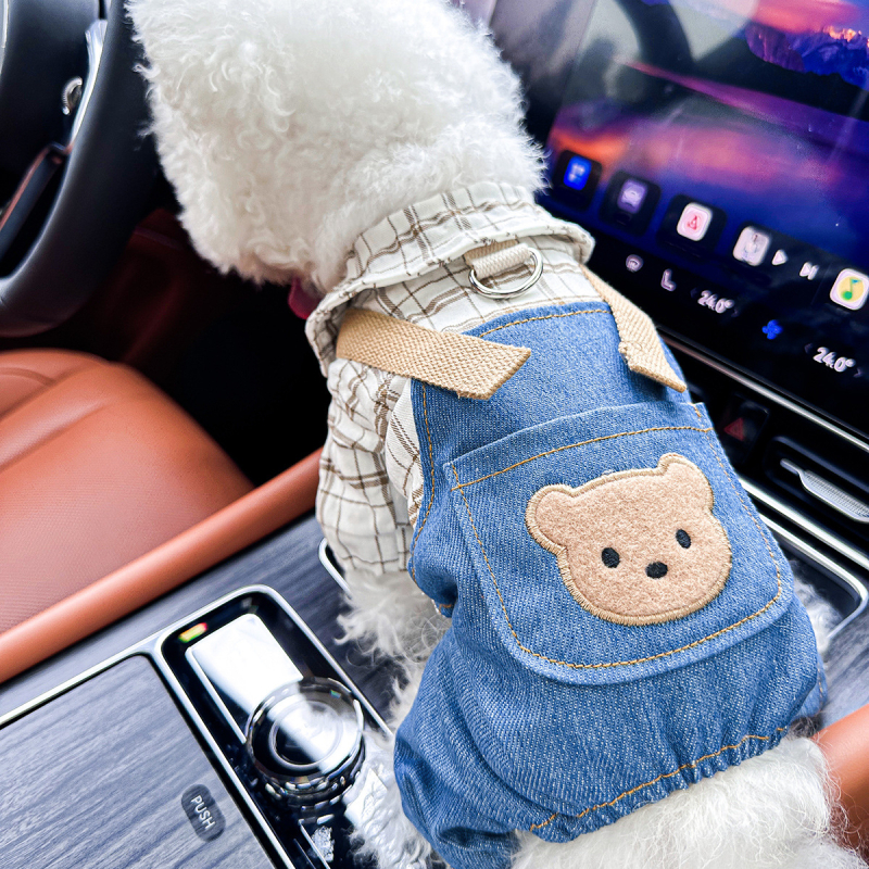 Sandėlyje tarpvalstybinis populiarus naminių gyvūnėlių šuniukų drabužių tiekėjas gamykloje pavasariui ir vasarai nauji dinozaurų keturkojų drabužių vienetinis pristatymas