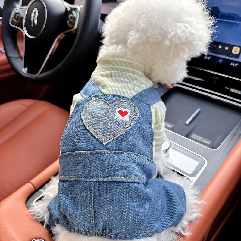 Sandėlyje tarpvalstybinis populiarus naminių gyvūnėlių šuniukų drabužių tiekėjas gamykloje pavasariui ir vasarai nauji dinozaurų keturkojų drabužių vienetinis pristatymas