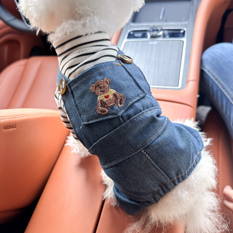 Sandėlyje tarpvalstybinis populiarus naminių gyvūnėlių šuniukų drabužių tiekėjas gamykloje pavasariui ir vasarai nauji dinozaurų keturkojų drabužių vienetinis pristatymas