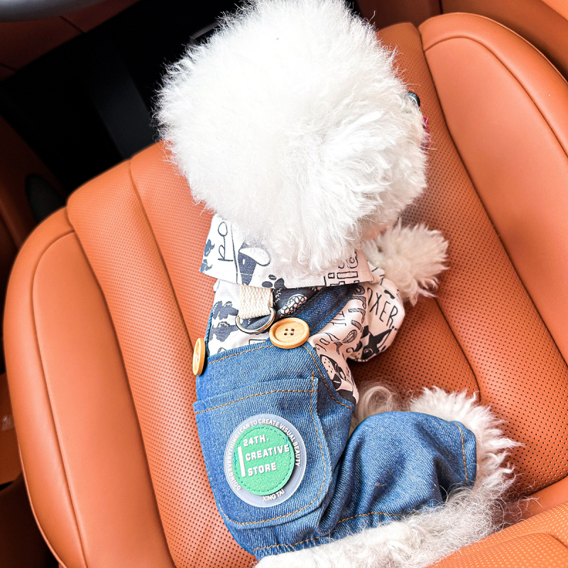 Sandėlyje tarpvalstybinis populiarus naminių gyvūnėlių šuniukų drabužių tiekėjas gamykloje pavasariui ir vasarai nauji dinozaurų keturkojų drabužių vienetinis pristatymas