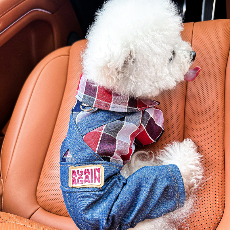 Sandėlyje tarpvalstybinis populiarus naminių gyvūnėlių šuniukų drabužių tiekėjas gamykloje pavasariui ir vasarai nauji dinozaurų keturkojų drabužių vienetinis pristatymas