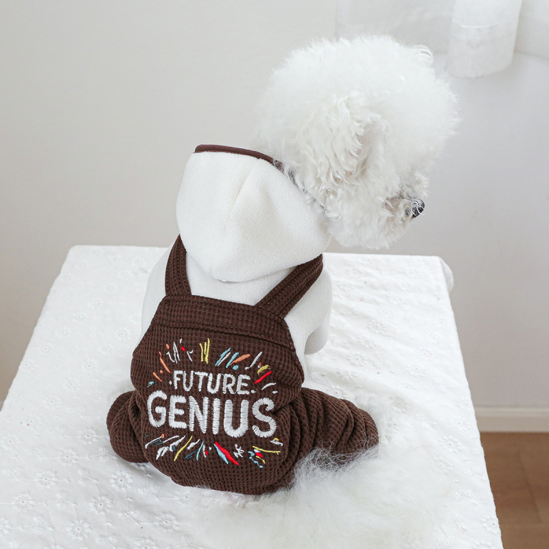 Sandėlyje tarpvalstybinis populiarus naminių gyvūnėlių šuniukų drabužių tiekėjas gamykloje pavasariui ir vasarai nauji dinozaurų keturkojų drabužių vienetinis pristatymas