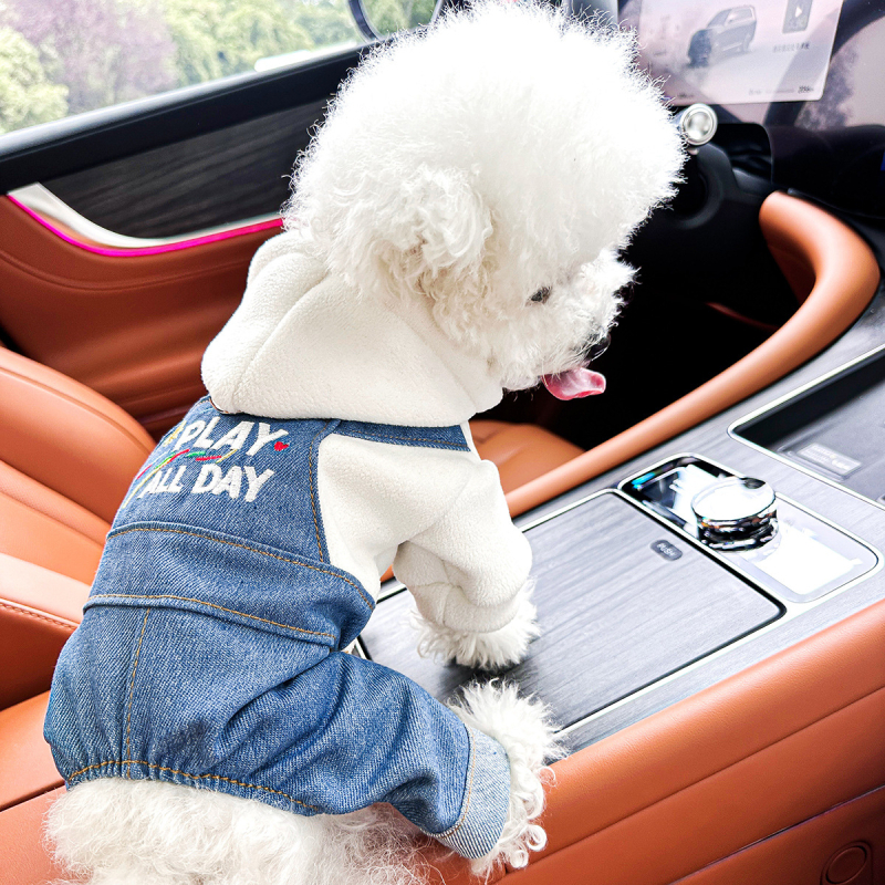 Sandėlyje tarpvalstybinis populiarus naminių gyvūnėlių šuniukų drabužių tiekėjas gamykloje pavasariui ir vasarai nauji dinozaurų keturkojų drabužių vienetinis pristatymas