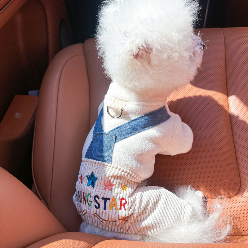 Sandėlyje tarpvalstybinis populiarus naminių gyvūnėlių šuniukų drabužių tiekėjas gamykloje pavasariui ir vasarai nauji dinozaurų keturkojų drabužių vienetinis pristatymas