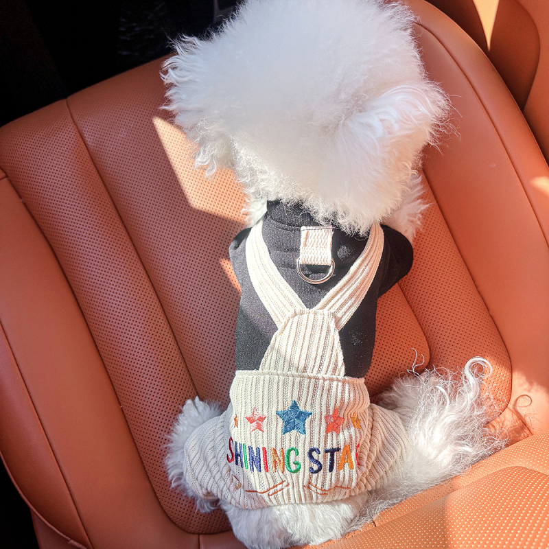 Sandėlyje tarpvalstybinis populiarus naminių gyvūnėlių šuniukų drabužių tiekėjas gamykloje pavasariui ir vasarai nauji dinozaurų keturkojų drabužių vienetinis pristatymas