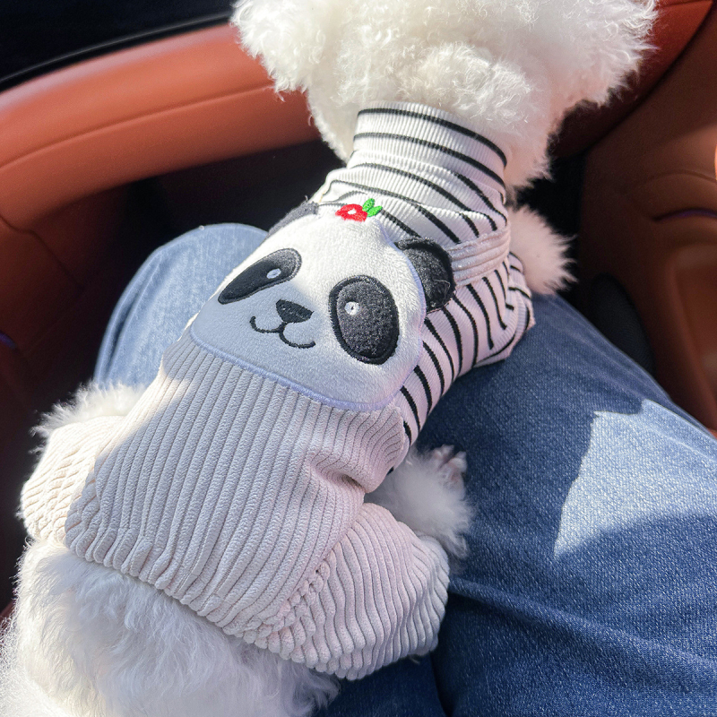 Sandėlyje tarpvalstybinis populiarus naminių gyvūnėlių šuniukų drabužių tiekėjas gamykloje pavasariui ir vasarai nauji dinozaurų keturkojų drabužių vienetinis pristatymas