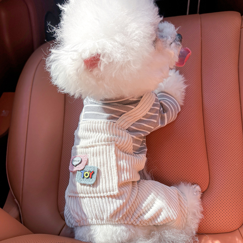 Sandėlyje tarpvalstybinis populiarus naminių gyvūnėlių šuniukų drabužių tiekėjas gamykloje pavasariui ir vasarai nauji dinozaurų keturkojų drabužių vienetinis pristatymas