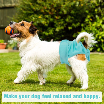 Φυσιολογικά παντελόνια για σκύλους, παντελόνια ασφαλείας, υγιεινά παντελόνια, εσώρουχα περιόδου, αντισυλληπτικά για σκύλες, κατά της παρενόχλησης, κατά του ζευγαρώματος, Corgi Teddy