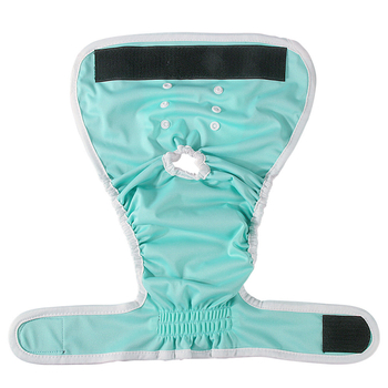 Φυσιολογικά παντελόνια για σκύλους, παντελόνια ασφαλείας, υγιεινά παντελόνια, εσώρουχα περιόδου, αντισυλληπτικά για σκύλες, κατά της παρενόχλησης, κατά του ζευγαρώματος, Corgi Teddy