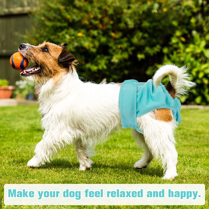 Φυσιολογικά παντελόνια για σκύλους, παντελόνια ασφαλείας, υγιεινά παντελόνια, εσώρουχα περιόδου, αντισυλληπτικά για σκύλες, κατά της παρενόχλησης, κατά του ζευγαρώματος, Corgi Teddy