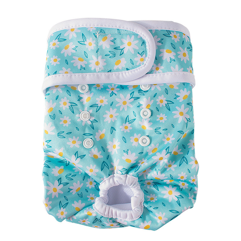 Φυσιολογικά παντελόνια για σκύλους, παντελόνια ασφαλείας, υγιεινά παντελόνια, εσώρουχα περιόδου, αντισυλληπτικά για σκύλες, κατά της παρενόχλησης, κατά του ζευγαρώματος, Corgi Teddy