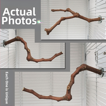 „Yuedi“ vynuogių medinė meškerė, paukščių stotelė, vynuogių narvo šlifavimo žnyplės, meškerė, papūgų paukščių stotelė