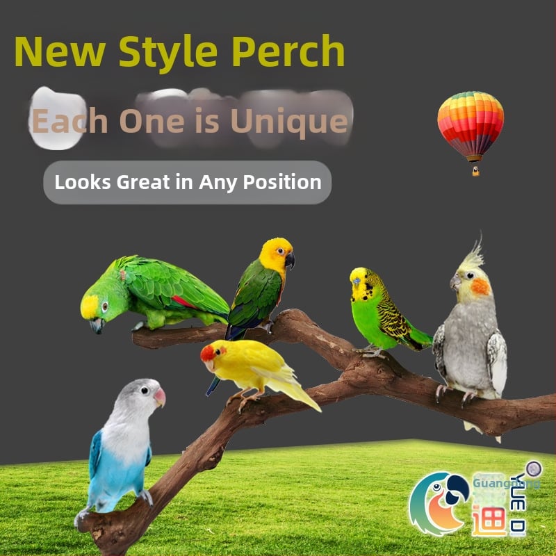 Yuedi viinamarjast puidust varras linnujaam pulk viinamarjapuuri jahvatusküünis pulk varras papagoi linnujaam pulk