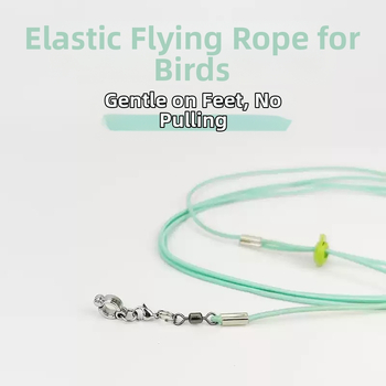 Еластичност на въжето за муха от папагал, не наранява краката, ултралеко тренировъчно, черно феникс, тигрова кожа, божур, гривна за крак, въже за разходка с птица
