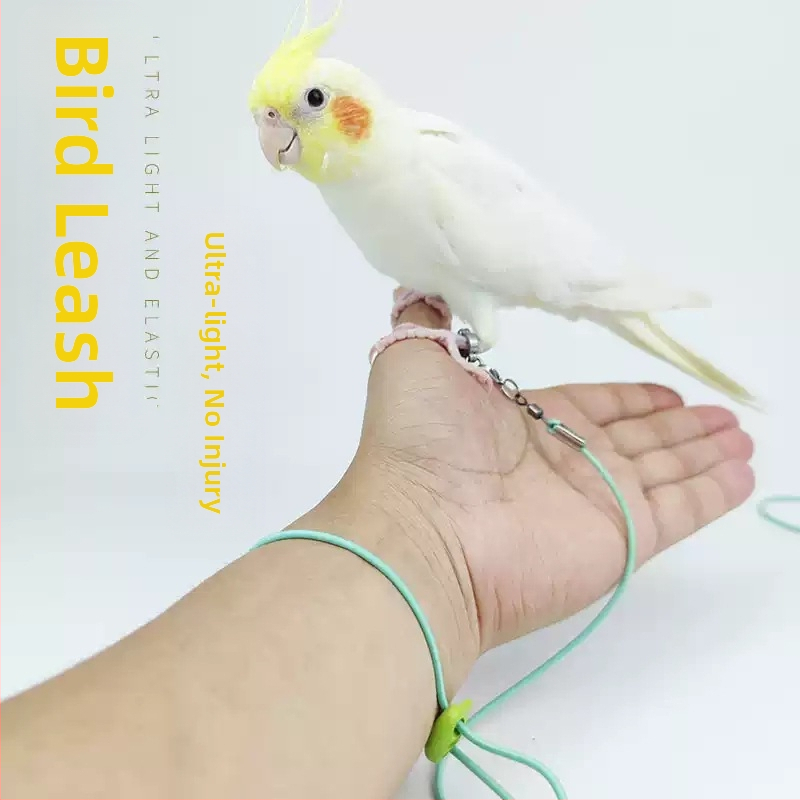 Еластичност на въжето за муха от папагал, не наранява краката, ултралеко тренировъчно, черно феникс, тигрова кожа, божур, гривна за крак, въже за разходка с птица