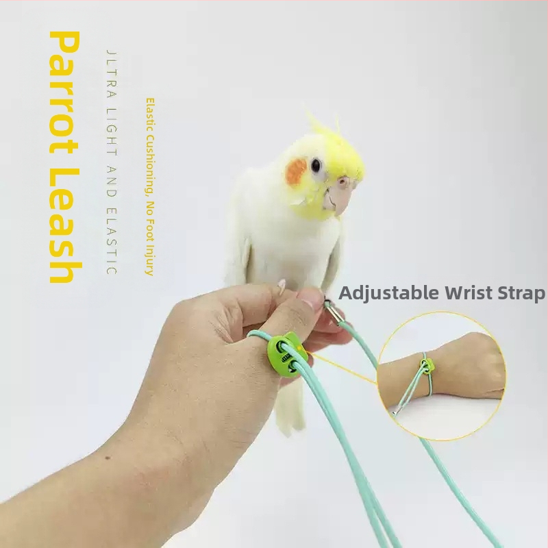 Еластичност на въжето за муха от папагал, не наранява краката, ултралеко тренировъчно, черно феникс, тигрова кожа, божур, гривна за крак, въже за разходка с птица