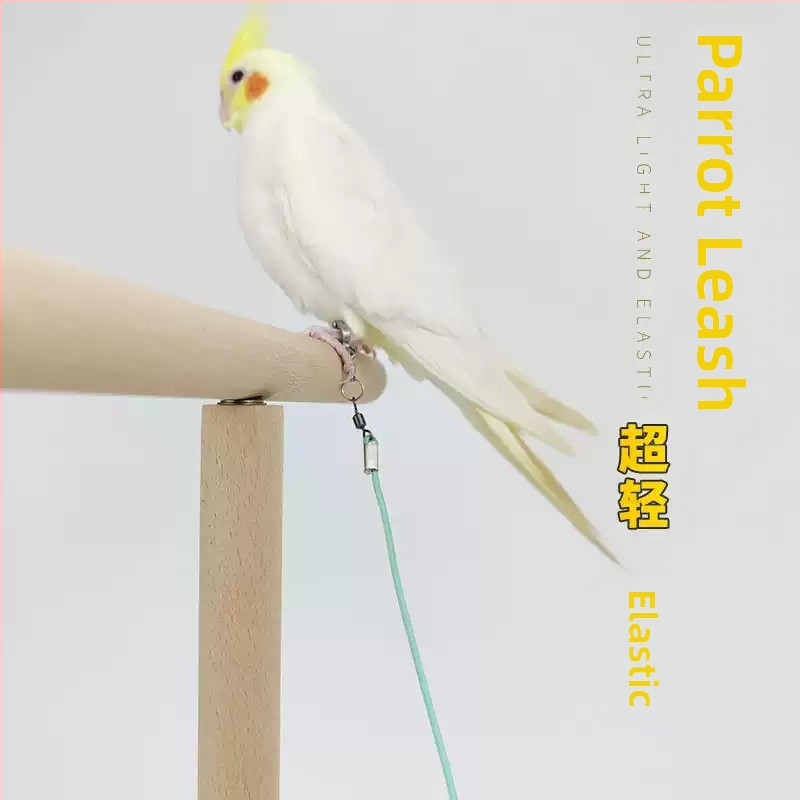 Еластичност на въжето за муха от папагал, не наранява краката, ултралеко тренировъчно, черно феникс, тигрова кожа, божур, гривна за крак, въже за разходка с птица