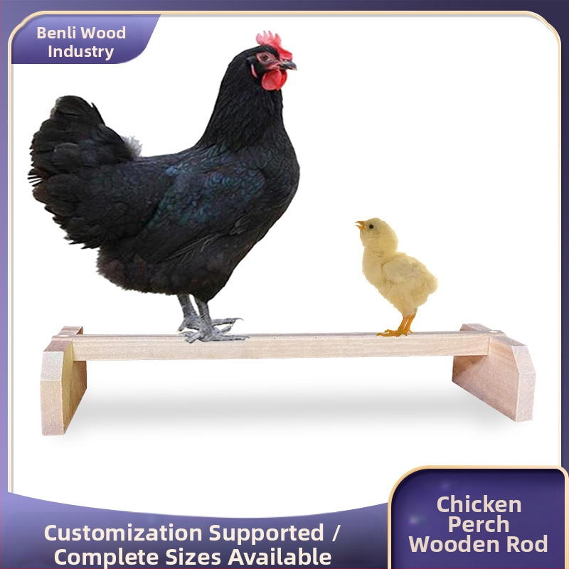 Kukk, kana, linnupesa, puidust kanapost, lemmiklooma alus, papagoi alus, tibu, lemmiklooma puidust alus, kaheosaline komplekt