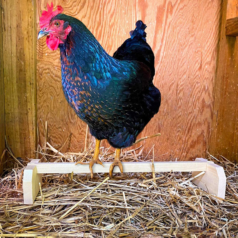 Комплект от две части за гнездо на петел и кокошка, дървен прът за пиле, поставка за домашен любимец и папагал.