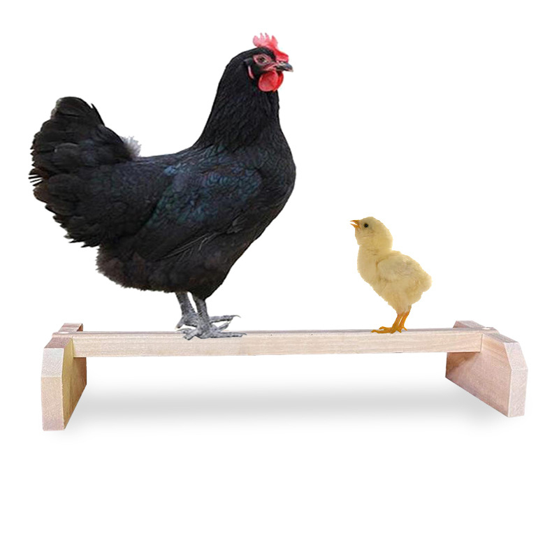 Комплект от две части за гнездо на петел и кокошка, дървен прът за пиле, поставка за домашен любимец и папагал.
