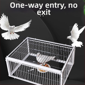 Uus Tianluo puuri tuvipuuri paksendatud krüptimisega automaatne tuvikogumise artefaktide uks tabas ust, ainult välistingimustes sisenemine pole võimalik