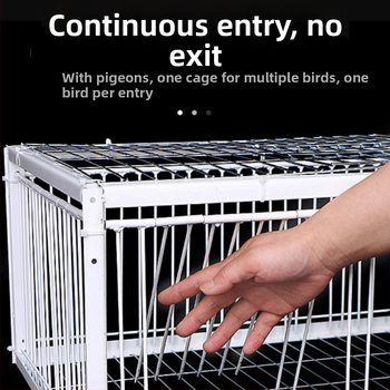 Uus Tianluo puuri tuvipuuri paksendatud krüptimisega automaatne tuvikogumise artefaktide uks tabas ust, ainult välistingimustes sisenemine pole võimalik