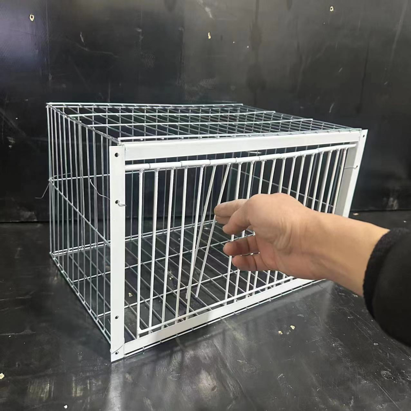 Uus Tianluo puuri tuvipuuri paksendatud krüptimisega automaatne tuvikogumise artefaktide uks tabas ust, ainult välistingimustes sisenemine pole võimalik