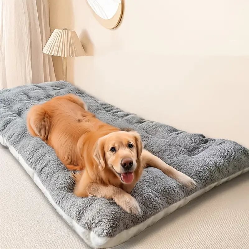 Χαλί ύπνου για κατοικίδια Four Seasons Κρεβάτι σκύλου Tai Golden Retriever Μεγάλο χαλί εορτασμού για σκύλους Internet Διπλής όψης Διαθέσιμο κλουβί για γάτες