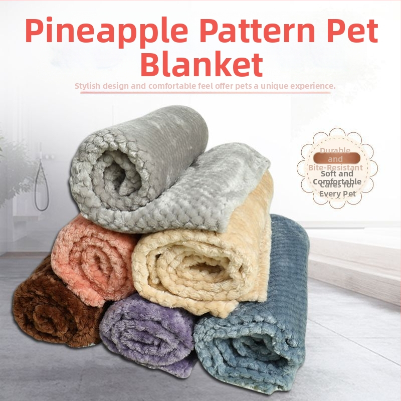 Фабрика директно одеяло за кучета, одеяло за котки, есенно и зимно топло удебелено кадифено одеяло за развъдник от ананас, трансгранична търговия на едро